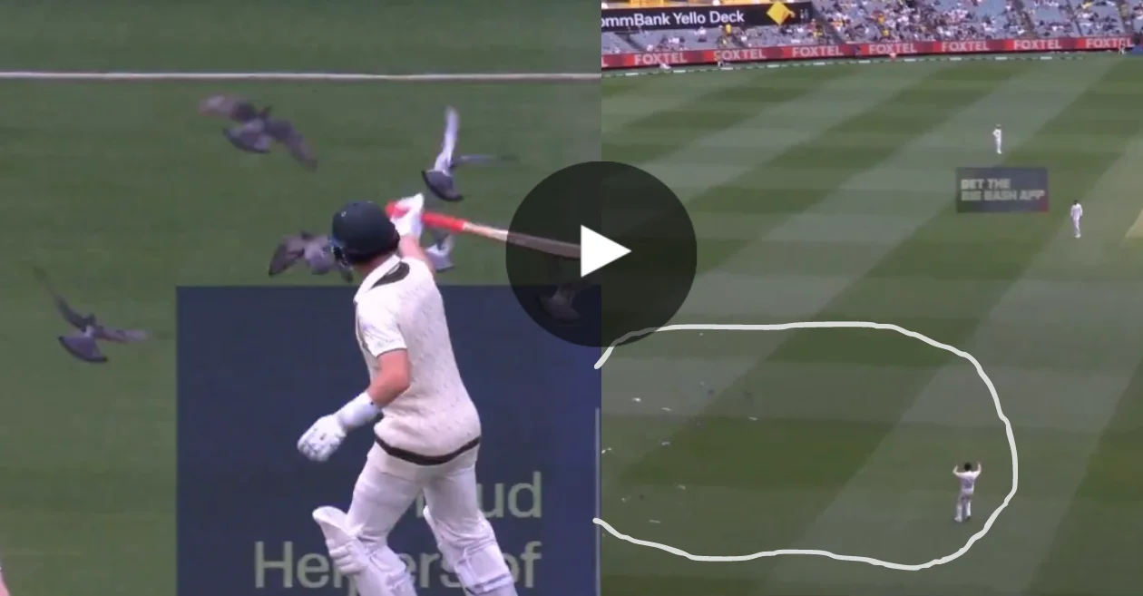 AUS vs PAK [WATCH]: Marnus Labuschagne and Hasan Ali chase off pigeons on Day 1 of MCG Test