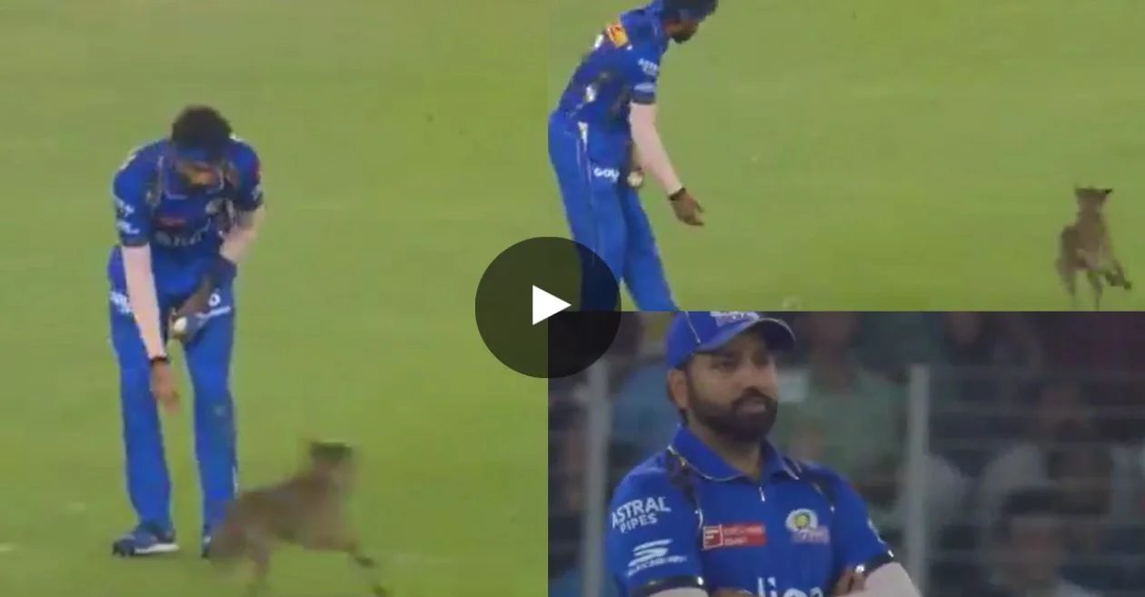 WATCH: Dog invades pitch during GT vs MI clash in IPL 2024; Hardik Pandya’s reaction goes viral