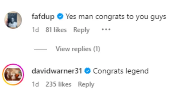 Faf du Plessis and David Warner